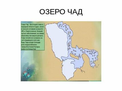 Какие реки впадают в озеро чад