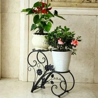 Цветы комнатные куфар