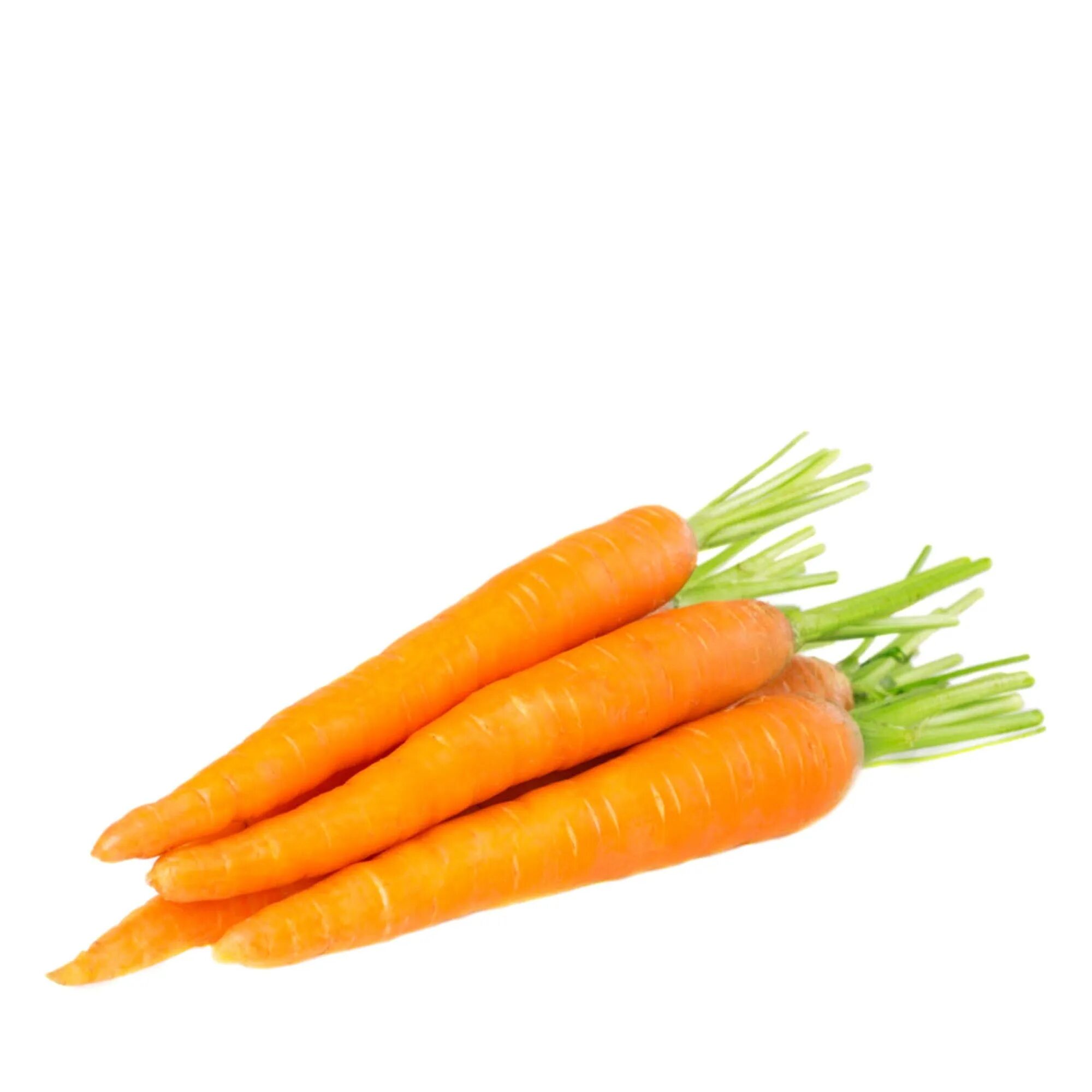 Carrot vegetable. Морковь. Сидит девица в темнице а коса на улице. Морковь на белом фоне. Морковка на белом фоне.