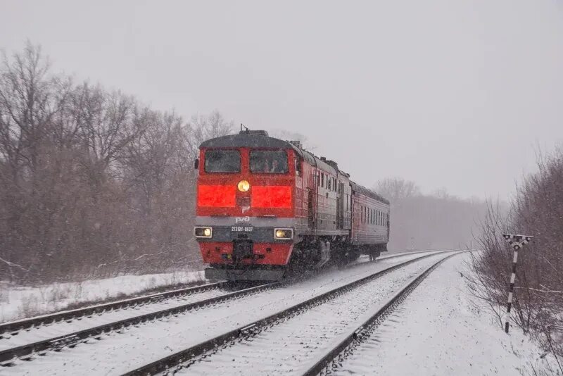 Поезд самара бузулук. Поезд самара бузулук. Вокзал бузулук. Самара бузулук поезд. Новые вагоны поезда.