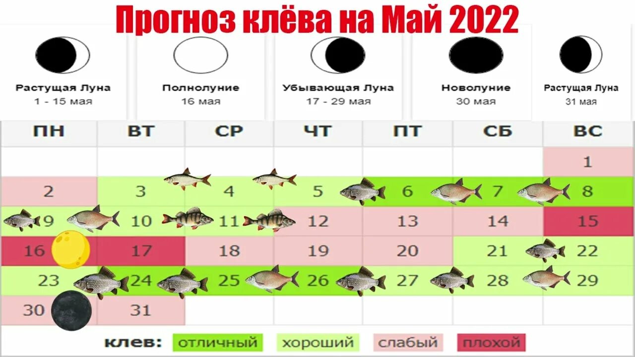 Клев рыбинск. Календарь клева. Май клев. Календарь клёва рыбы на май. Прогноз клева.