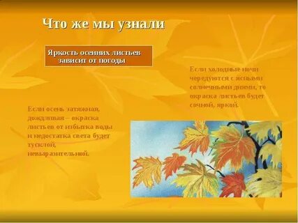 Окраска осенних листьев зависит от