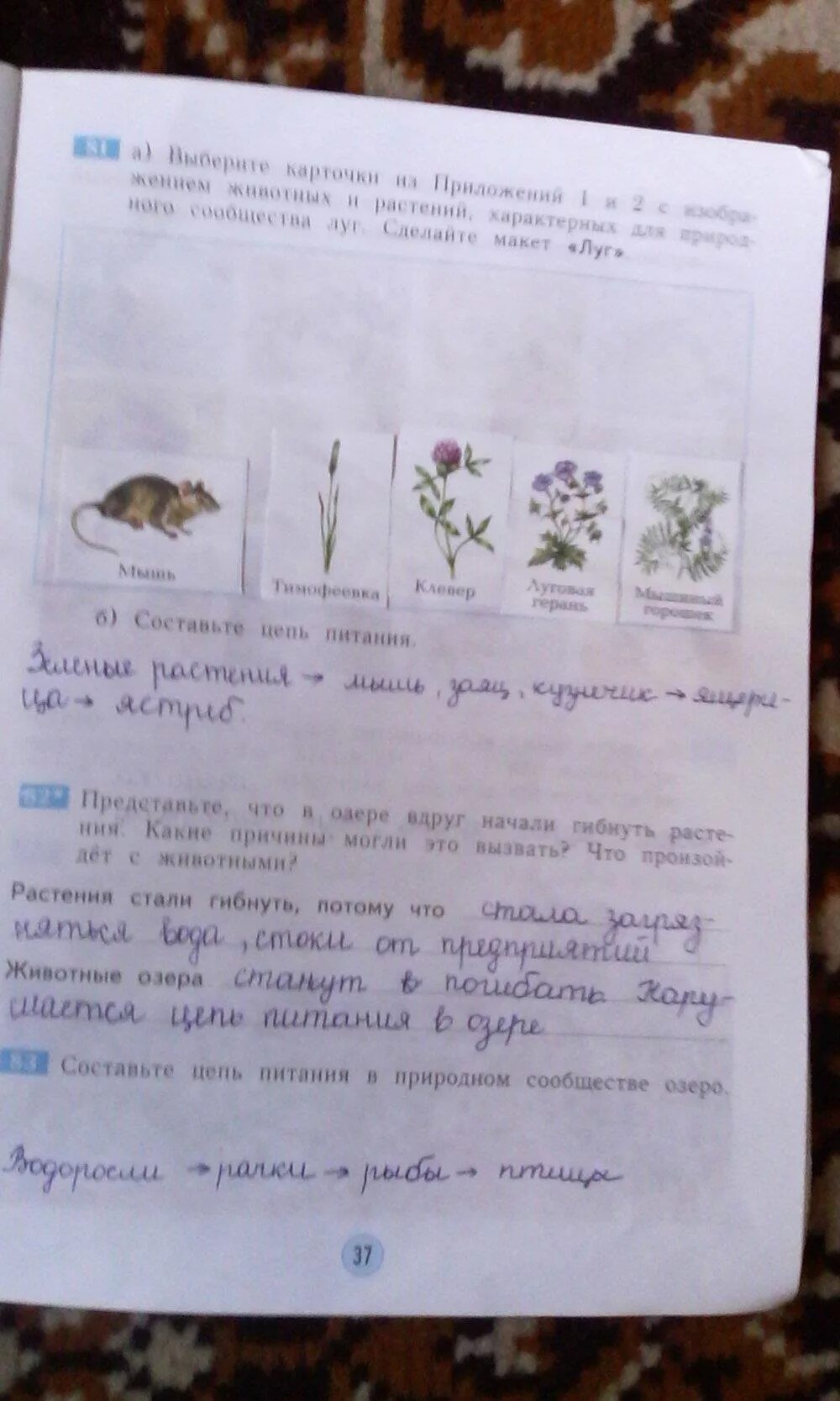 Окружающий мир 3 класс рабочая тетрадь 1 занков. Гдз окружающий мир 3 класс рабочая тетрадь Дмитриева Казаков. Гдз окружающий мир 3 кл рабочая тетрадь стр 37. Окружающий мир Дмитриева рабочая тетрадь. 3 класс 2 часть стр 37 окр