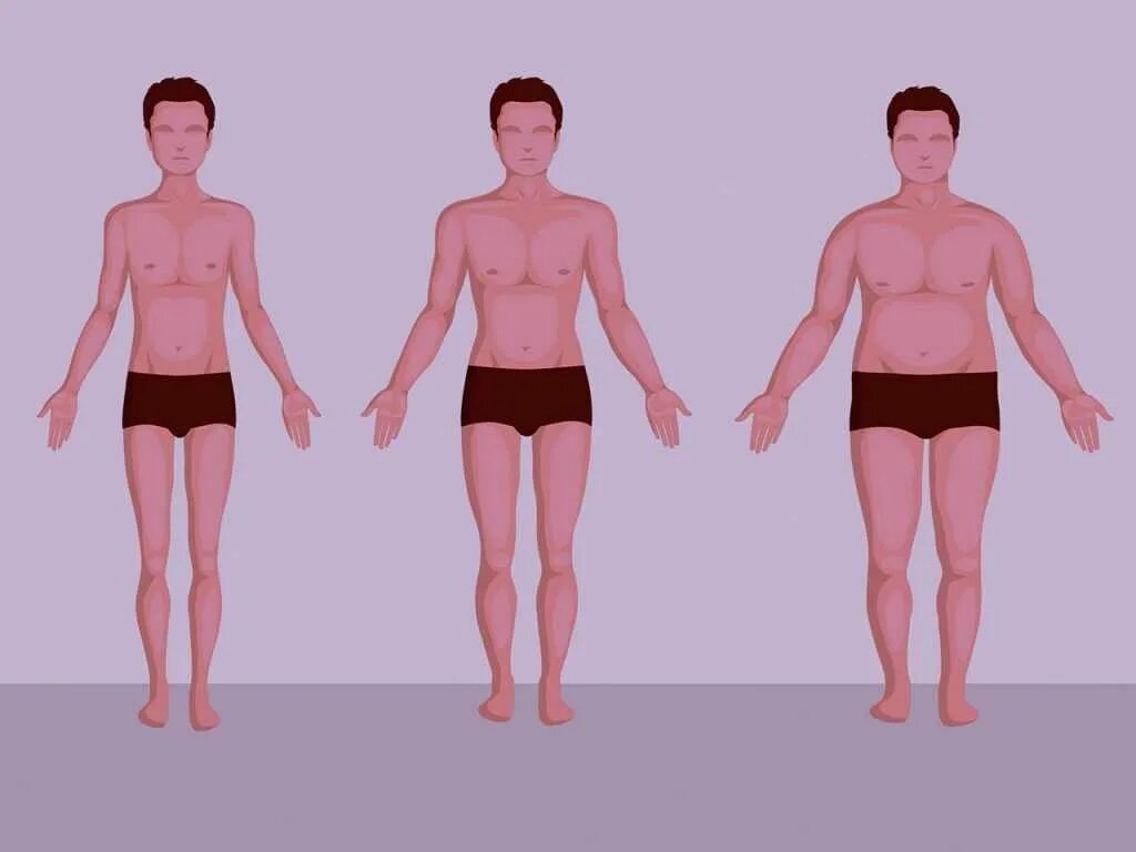 Человек мезоморф. Типы телосложения у мужчин эктоморф. Три типа людей эктоморф мезоморф. Типы сложения эктоморф. Конституции тела человека эктоморф.