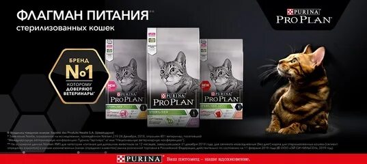 Проплан марка. Премиальный Pro Plan. Pro Plan баннер. Проплан баннер на выставках. Pro plan екатеринбург