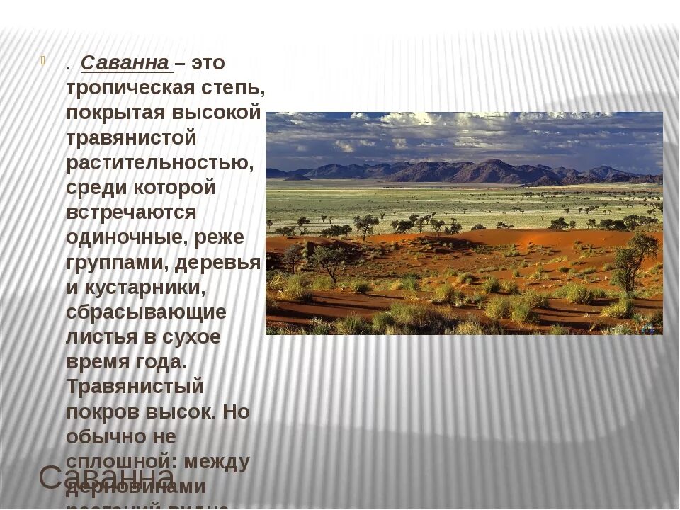 Степи и саванны. Степи и саванны растения. Степи и саванны природная зона. Зона степей в Африке. Какие природные комплексы отличаются от степи