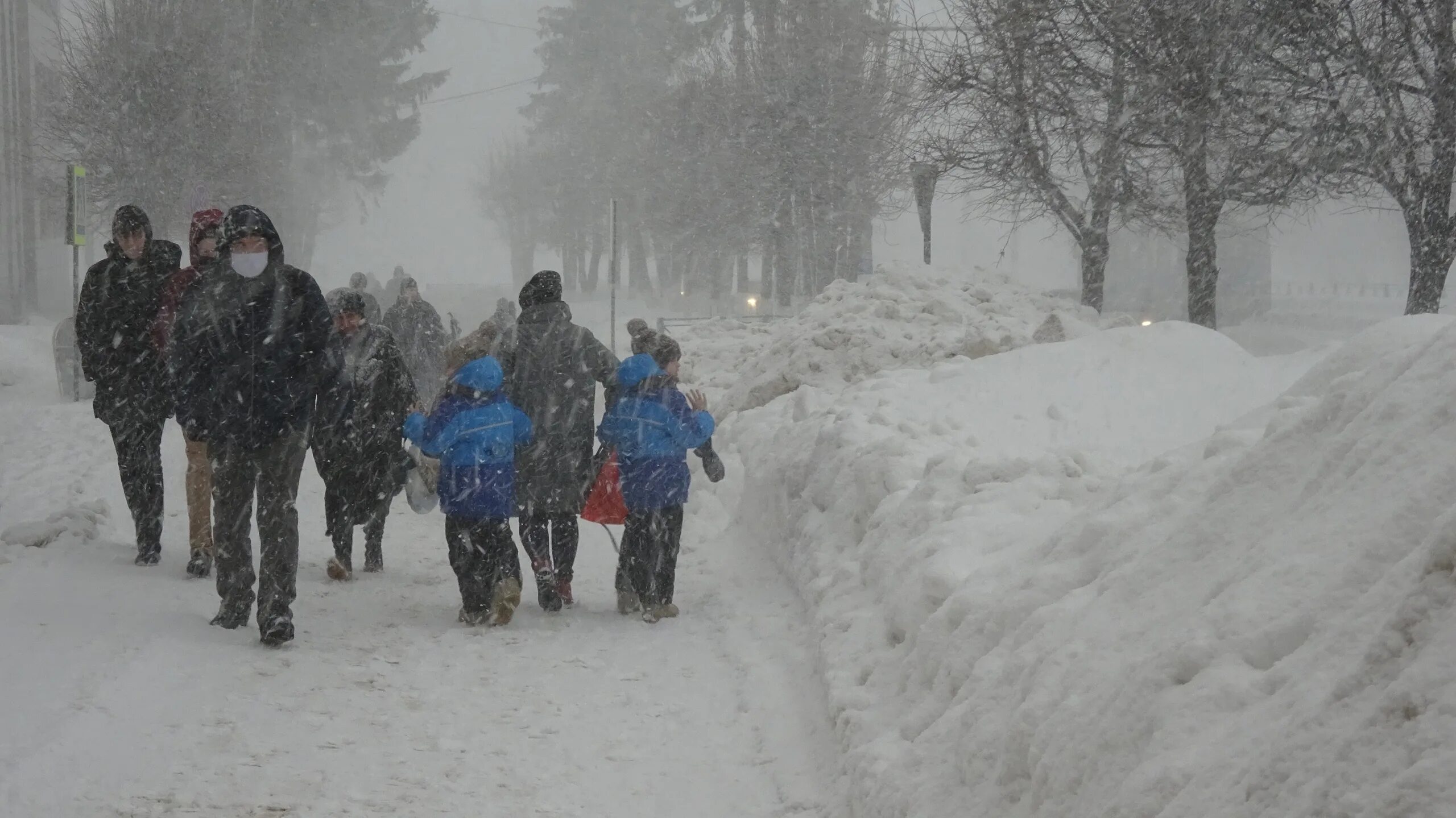 Снегопад. Снегопад весной. Метель в городе. Снег снегопад.