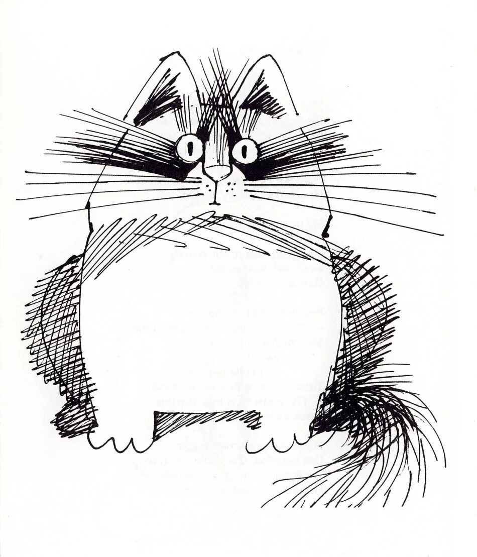 Кот рисунок. Художник камвей фонг (kamwei fong, псевдоним бо). Альбрехт дюрер анималистика. Набросок кота. Кошка графика.