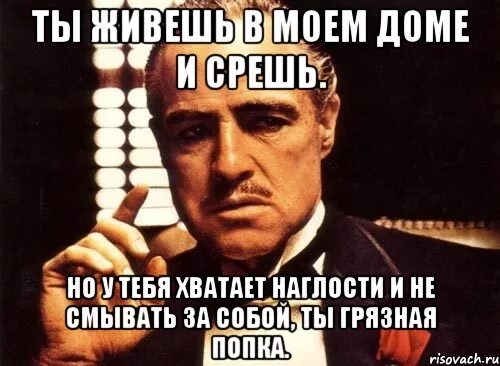Значит будет грязно. Значит будет грязно. Грязный реализм книги. Значит будет грязно. Когда поругался с котом.