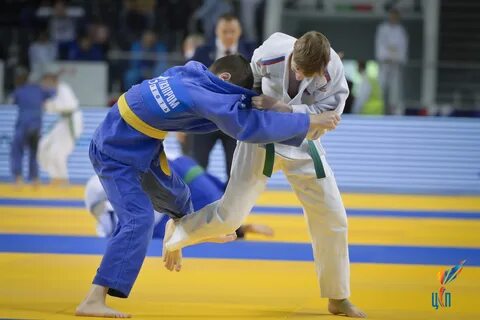 Дзюдо видео чемпионат