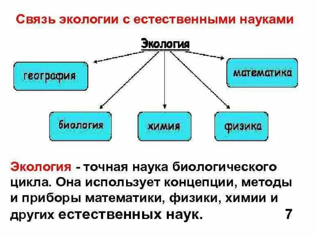 Связь экологии с другими науками. Взаимосвязь экологии с другими науками. Связь экологии с другими науками схема. Связь наук с экологией. Экология и ее значение 9 класс