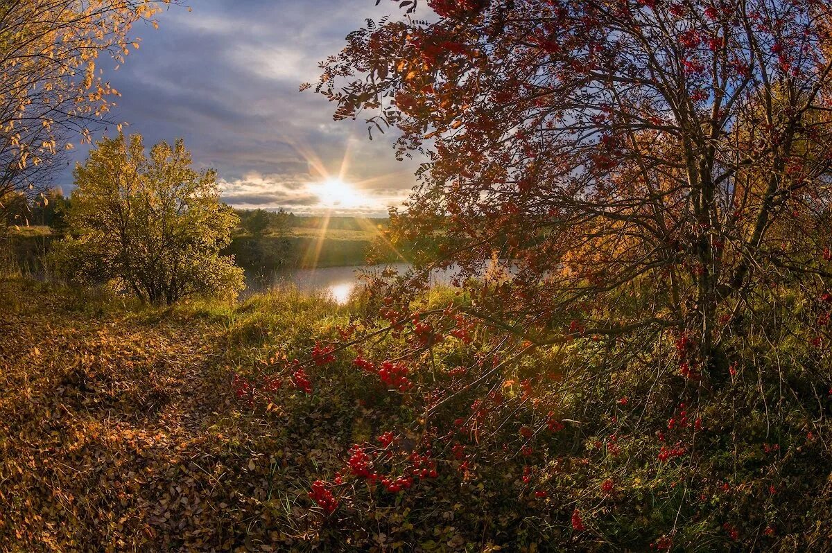 Осенний закат. Ранняя осень. Осенний пейзаж. Осенний рассвет. Ранним утром сентября