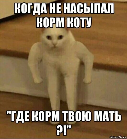 Ничем не посыпали
