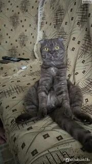 Скучала отзыв