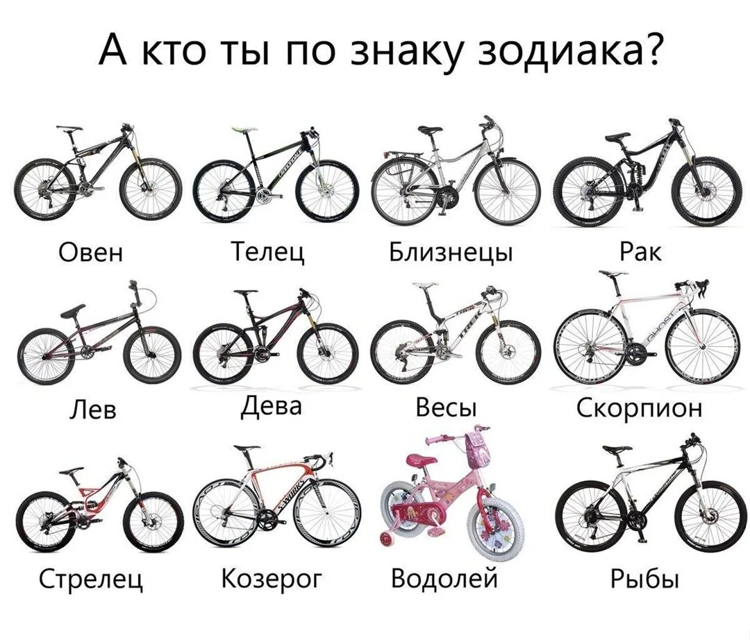 Кто первый по знаку зодиака. Знаки зодиака как. Кто первый по знаку зодиака. Знаки зодиака как. Гороскоп.