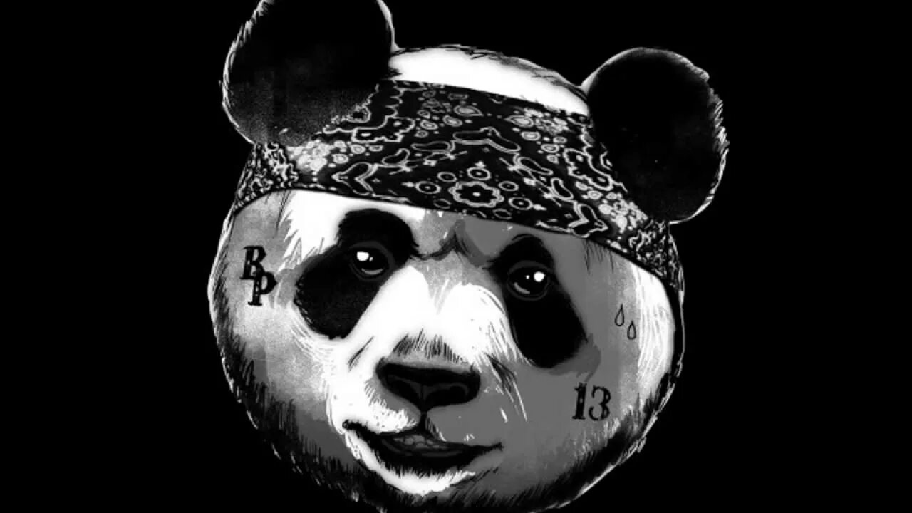 Панда правда покорила. Панда е. Cugo Панда. Панда е фотография. Е Панда рэпер.