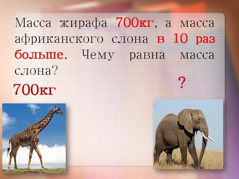 Сколько слон жираф. Сколько весит слон. масса слона. масса африканского слона. вес африканского слона.