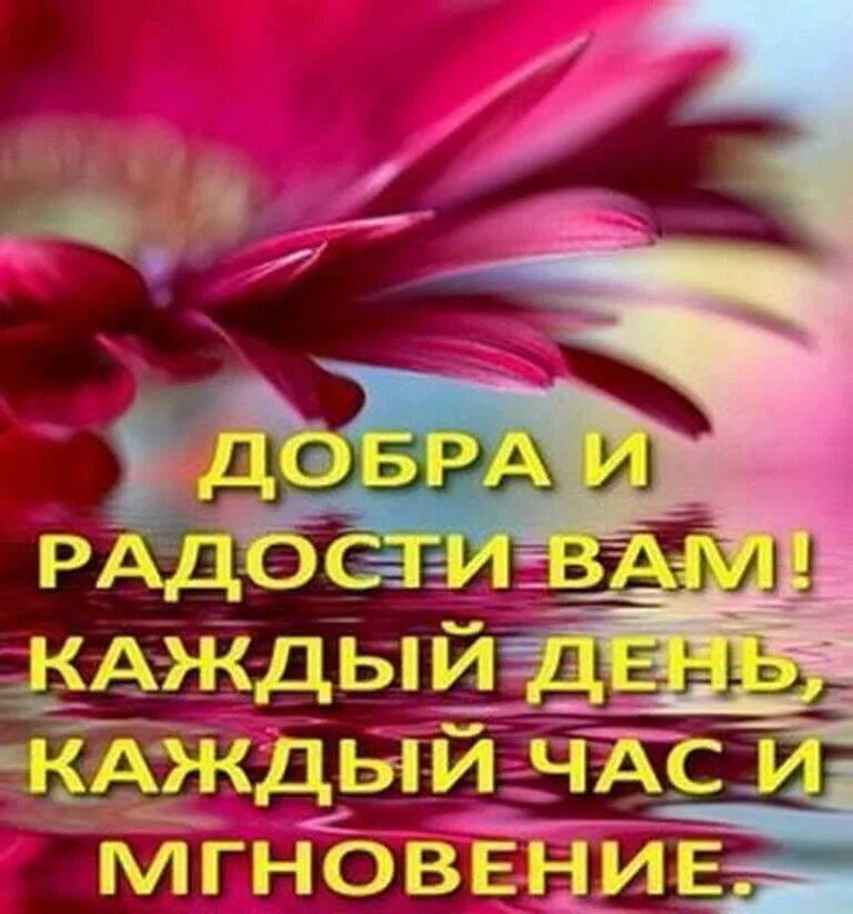 Радуйся каждому мгновению. Пожелания доброты тепла и счастья. Пожелания людям добра и красоты. Добра и радости вам.