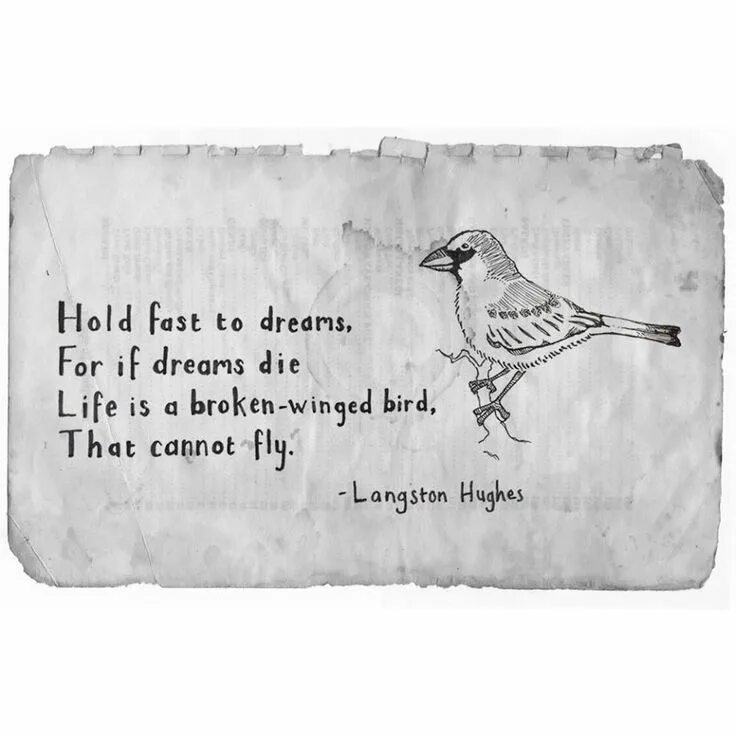 Nightbird quote. Poems about Birds. Life is a broken-Winged Bird that cannot Fly. Hold fast to Dreams for if Dreams die Life. To be broke перевод