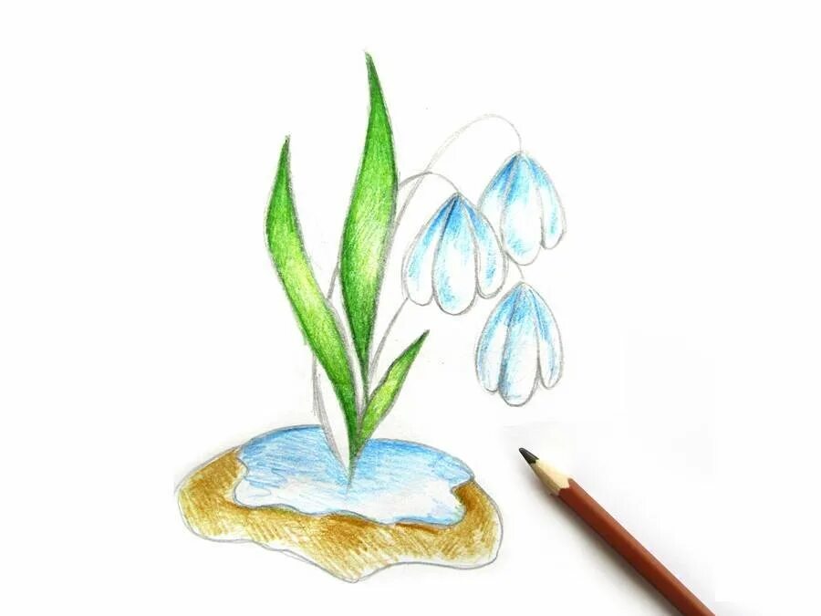 Подснежник рисунок 1 класс. Подснежники рисунок. рисование первоцветы. рисование с детьми первоцветы. весенние цветы изо.