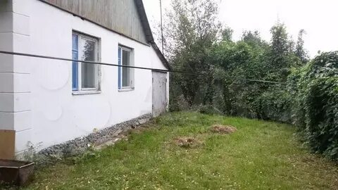 Погода в мамоново пронского