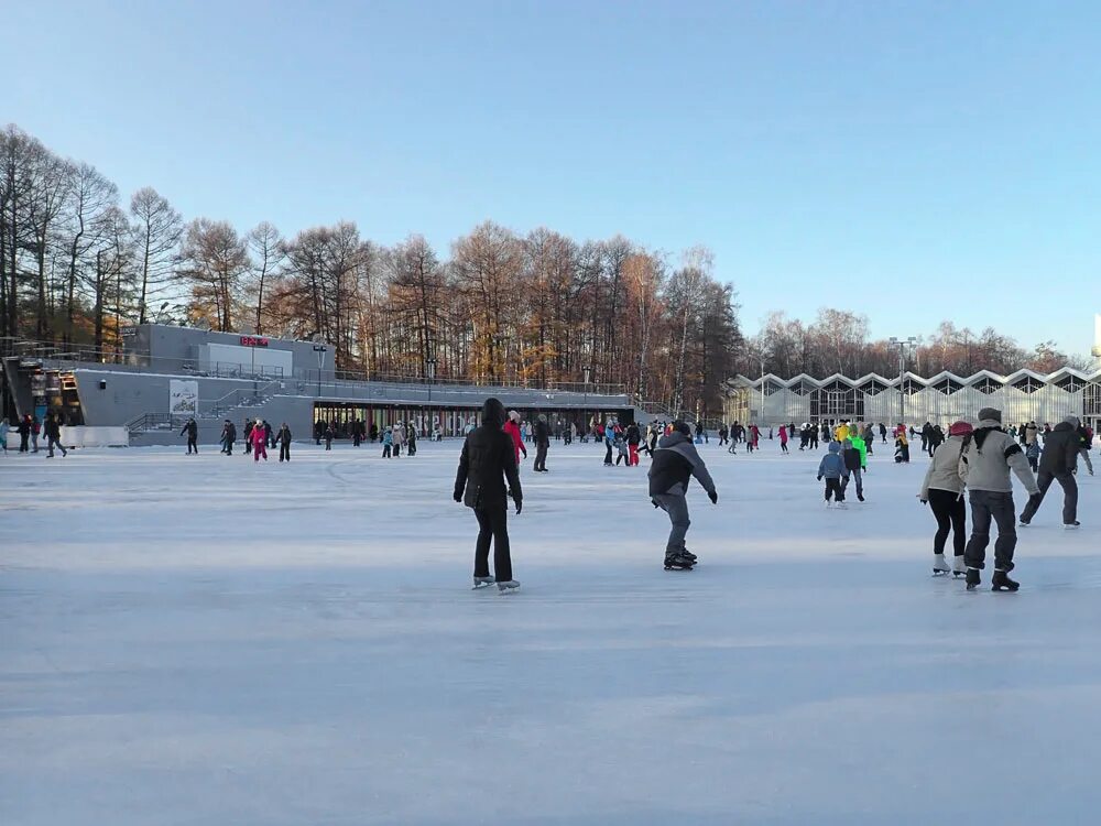 Каток сокольники до какого числа. Парк Сокольники каток 2022. Каток лед в Сокольниках. Каток в Сокольниках 2022. Каток лед в Сокольниках 2022.