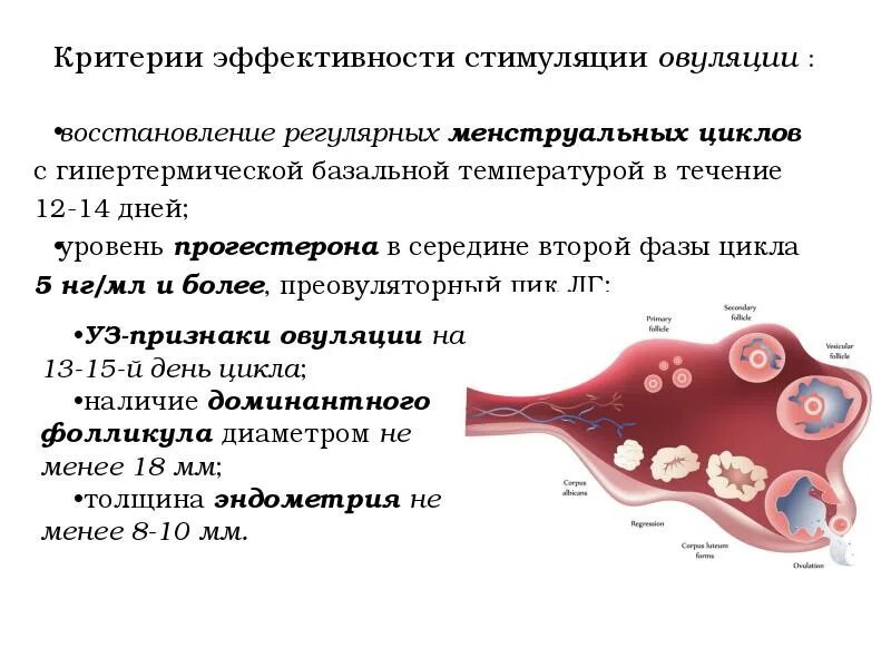 Стимуляция овуляции для зачатия естественным. Критерии эффективности стимуляции овуляции. Стимуляции овуляции. Яичников. Гормоны стимулирующие овуляцию. Протокол стимуляции овуляции.