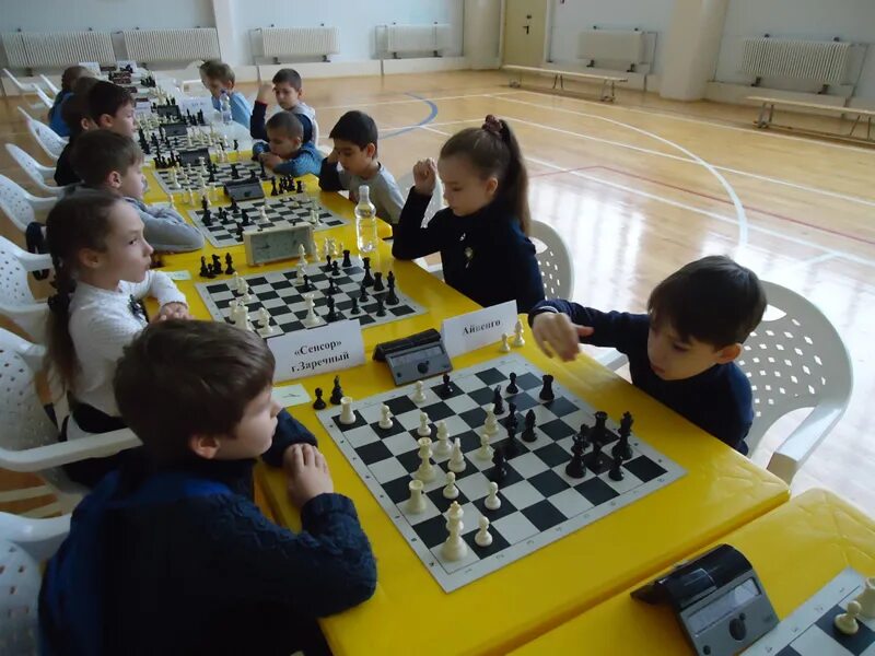 пенза шахматы максимов. шахматная федерация пенза. пензенская шахматная. день шахмат. пенза шахматы тарасенко.