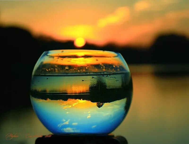 Красивый сосуд. Стеклянный шар отражение. Отражение в шаре. Отражение в бокале.