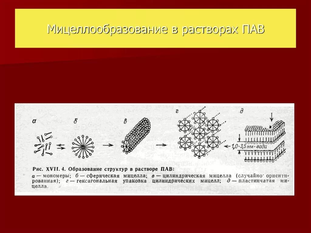 Сферические мицеллы пав. Коллоидные пав Мицеллообразование. Строение сферических мицелл пав. Строение мицелл пав. Водный раствор пав