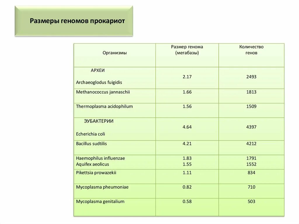 Прокариот от эукариот отличает