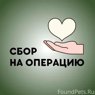 Требуется операция