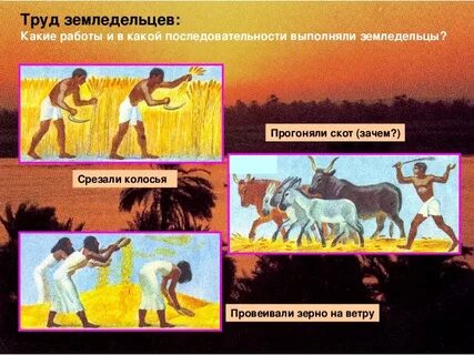 Рассказ о земледельце 5 класс