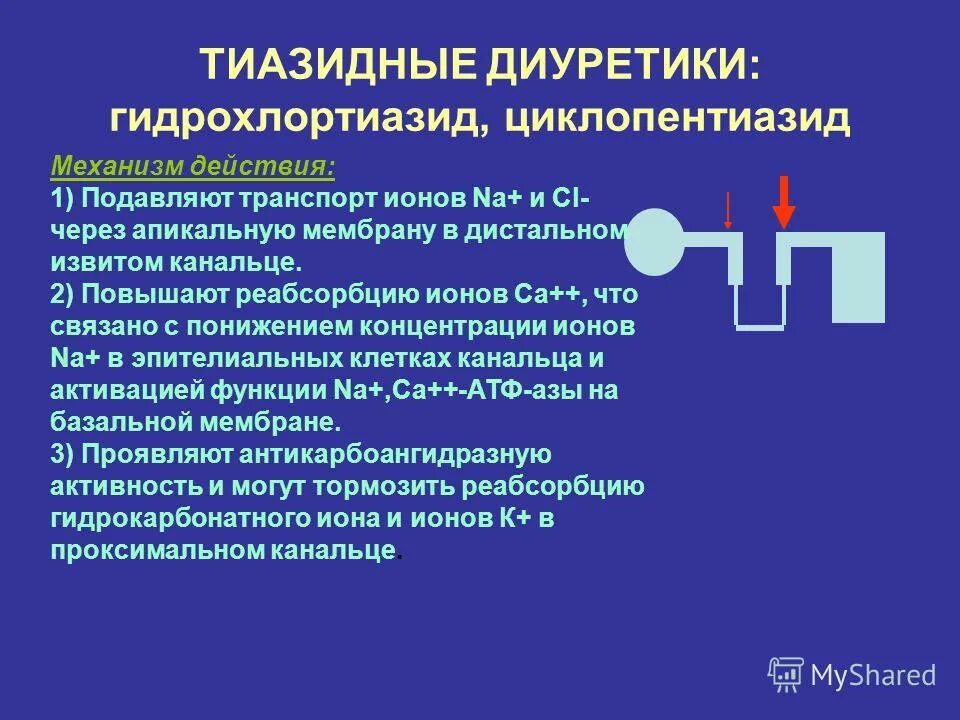 тиазинидиновые диуретики. тиазидные диуретики механизм. тиазидные диуретики препараты. тиазидные и тиазидоподобные диуретики. тиазидный диуретик препараты.