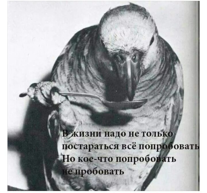 Раньше надо было думать. А надо было раньше. Йода не пробуй делай. Если хотите в этой жизни попробовать всё попробуйте быть добрым. Не пробовала надо будет.