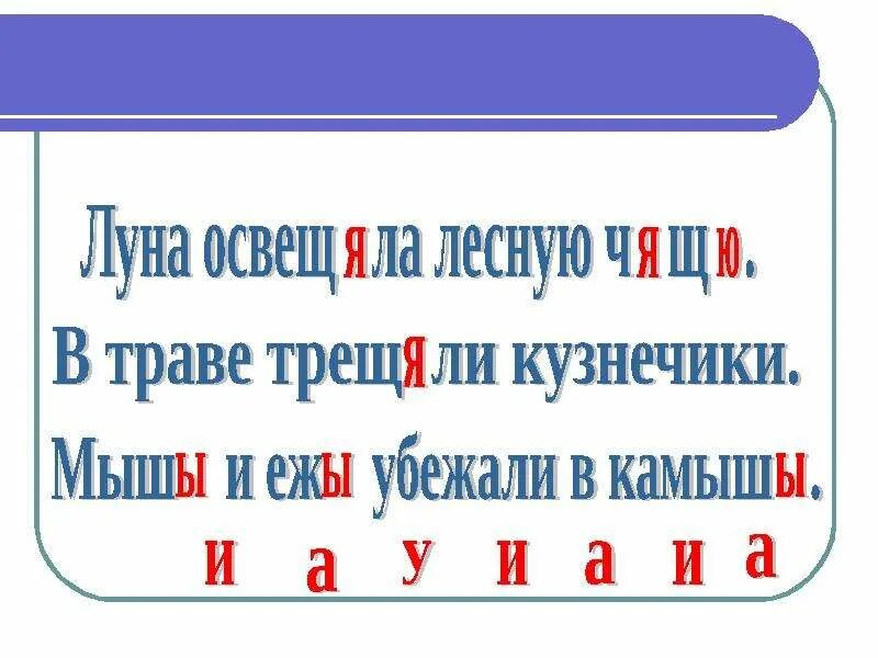 Диктант жи ши ча ща чу