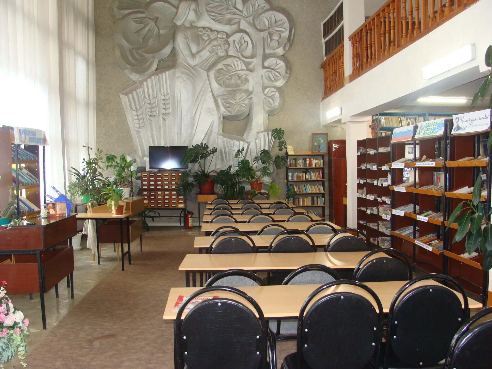 Каменская районная библиотека