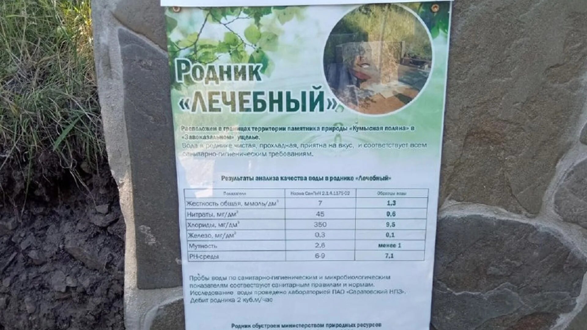 Целебный родник ростов. Вода целебный источник. Святые источники в тульской области в богородицке. Целебный родник «пантера» римини. Целебный родник ростов магазин.