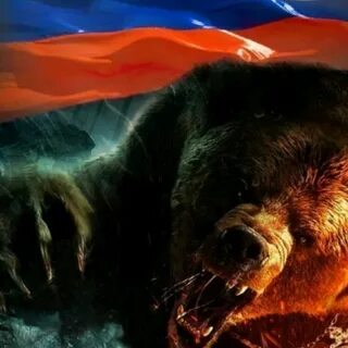 Российский медведь картинки
