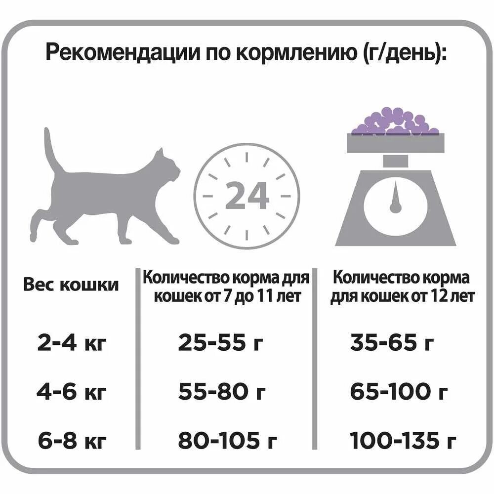 Сколько нужно давать корма кошке в день