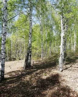 Ноября май