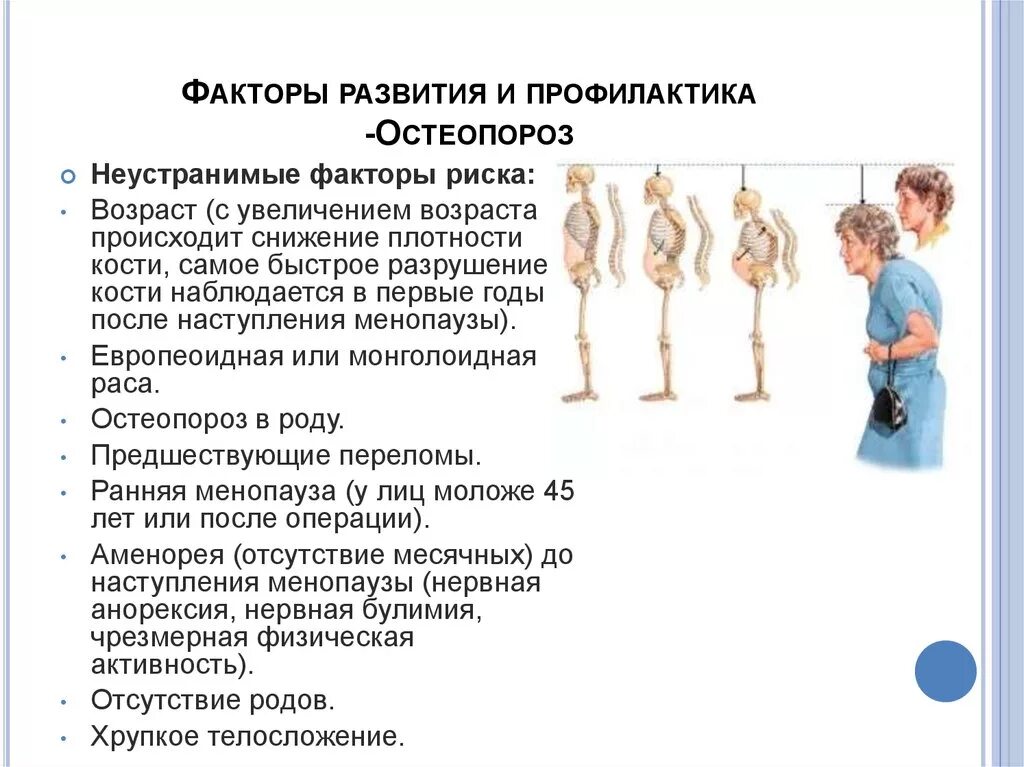 Фактором риска развития остеопороза является тест. Факторы риска и профилактика остеопороза. факторы риска развития остеопороза. профилактика развития остеопороза. профилактика при остеопорозе.