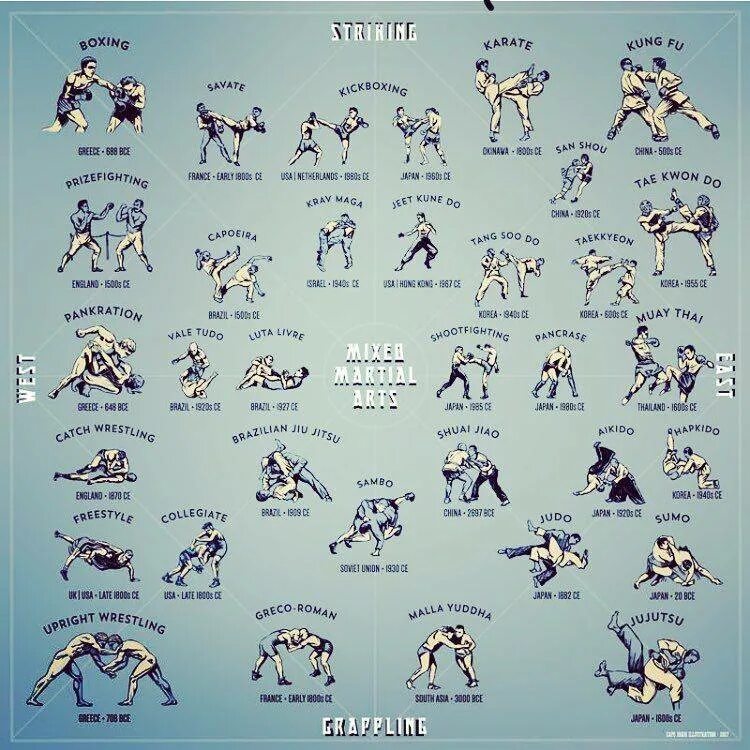 виды боевых искусств названия. боевые искусства список. восточные боевые искусства список. какие боевые искусства существуют. виды единоборства список.