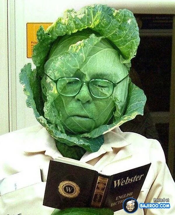 #20. 365. Lettuce Head. James Kuhn Flickr