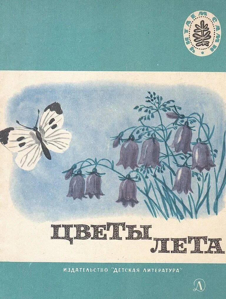 Автор рассказа лето