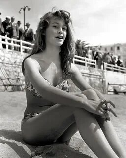 Brigitte Bardot Photos, Palais Des Festivals, Photo Vintage, Vintage Images...