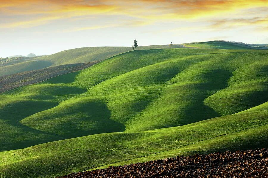 Rolling hills. Зеленые холмы Смоленск. Зеленые холмы Африки. Зеленые холмы Голливуда. Green Hills зеленые холмы Ирландии.