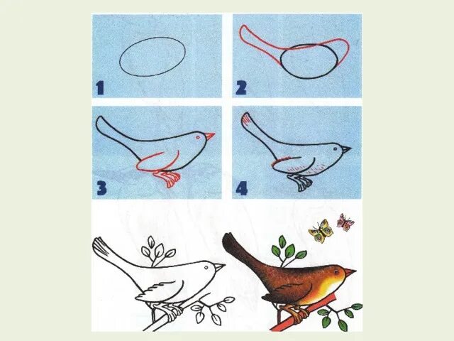 Как нарисовать птицу(. Рисунок птицы 2 класс. Весенние птицы поэтапное рисование. Поэтапное рисование птицы 2 класс. Рисуем птицу поэтапно презентация 2 класс