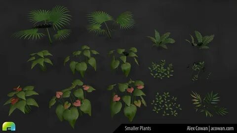 Various plants