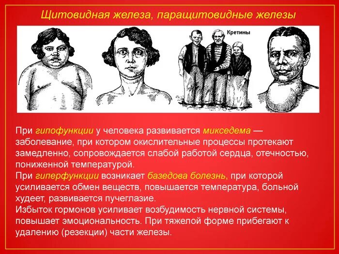Гипофункция паращитовидных желез вызывает. Гиперфункция паращитовидных желез. гипофункция околощитовидных желез. заболевания при гиперфункции паращитовидной железы. гипофункция паращитовидной железы.